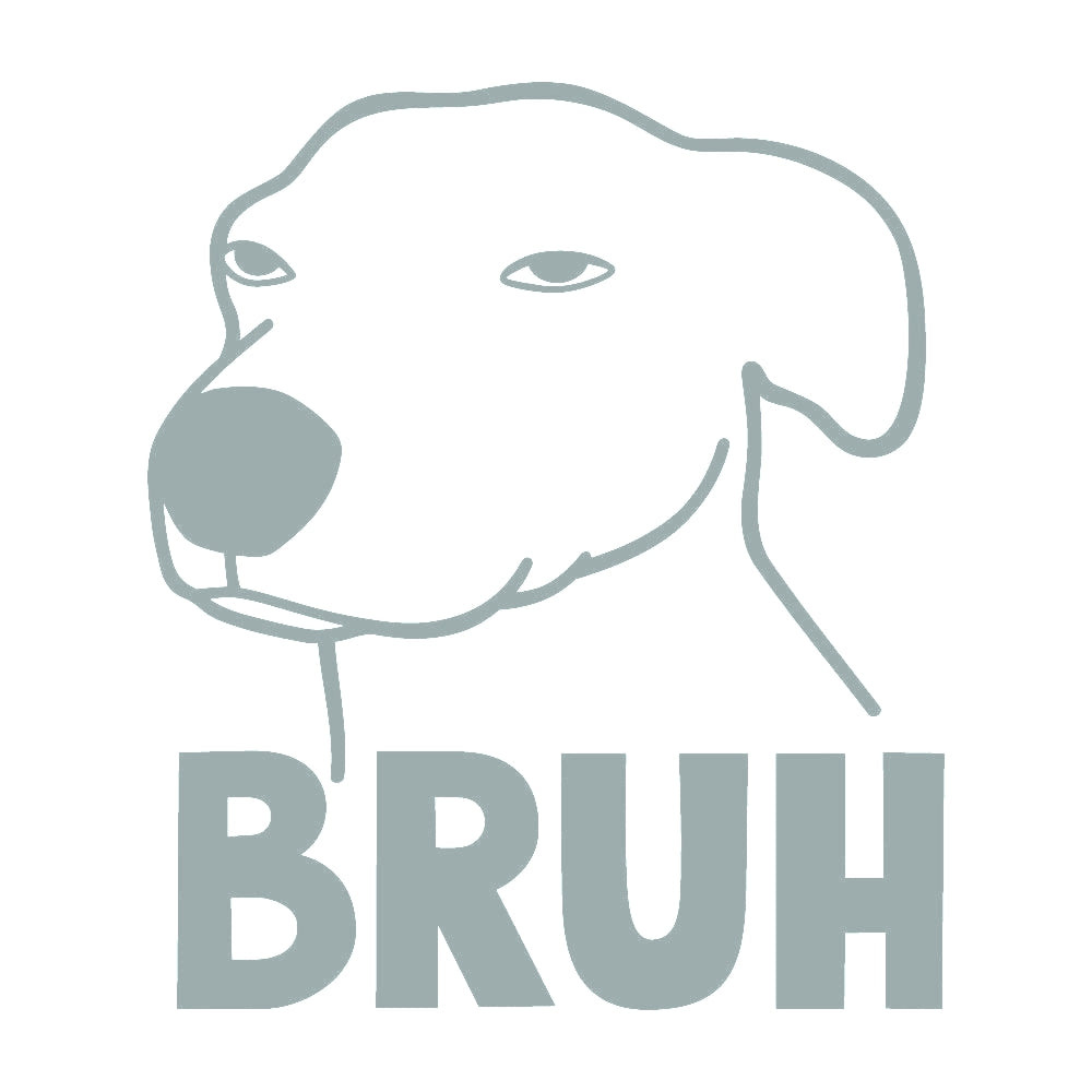 BRUH DOG 10