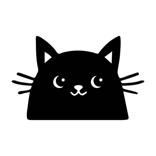 ひょっこり猫 (H)