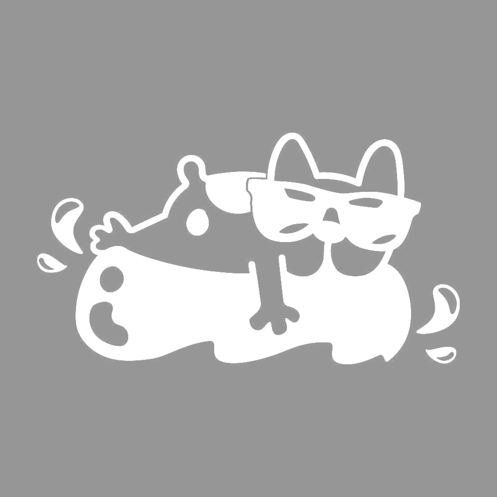 浮き輪に乗る犬 7