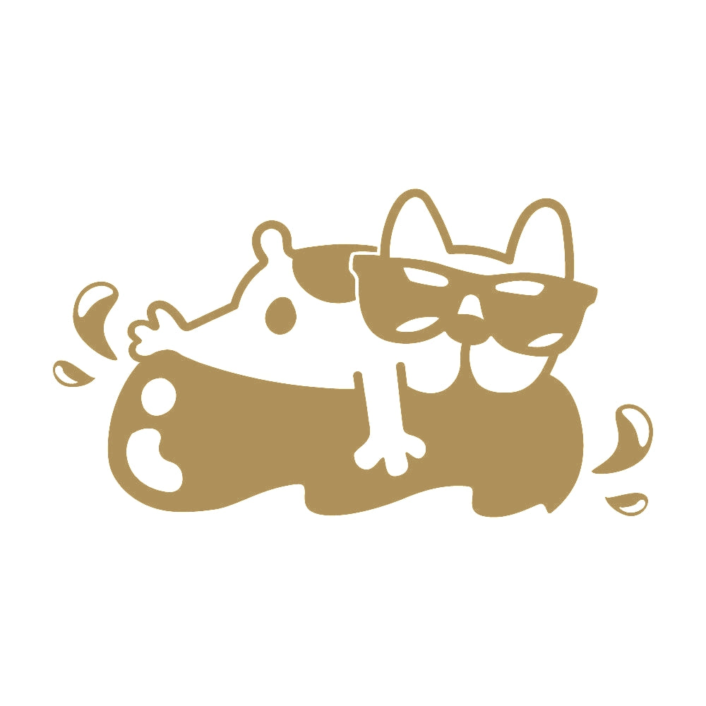浮き輪に乗る犬 9