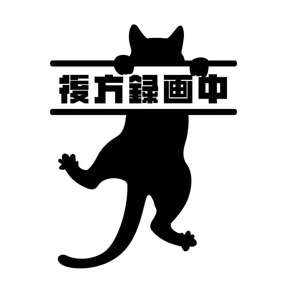 後方録画中 ぶら下がる猫