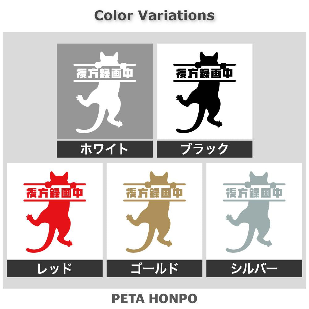 後方録画中 ぶら下がる猫 2
