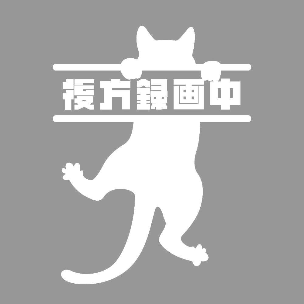 後方録画中 ぶら下がる猫 7
