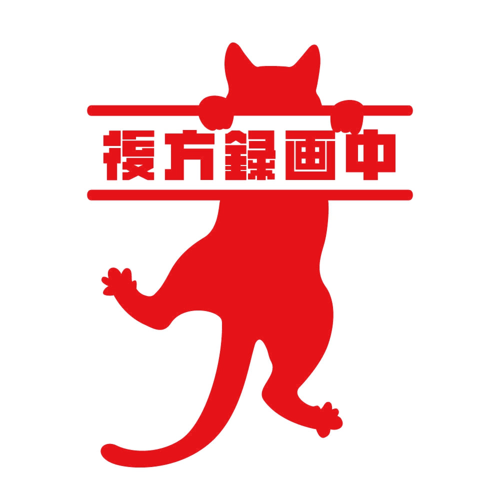 後方録画中 ぶら下がる猫 8