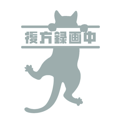 後方録画中 ぶら下がる猫 10