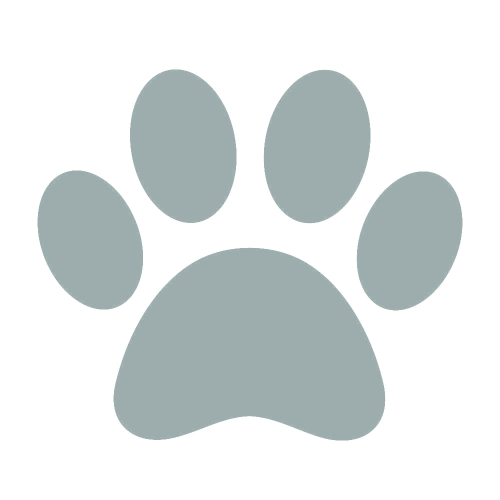 犬と猫の肉球 (A) 10