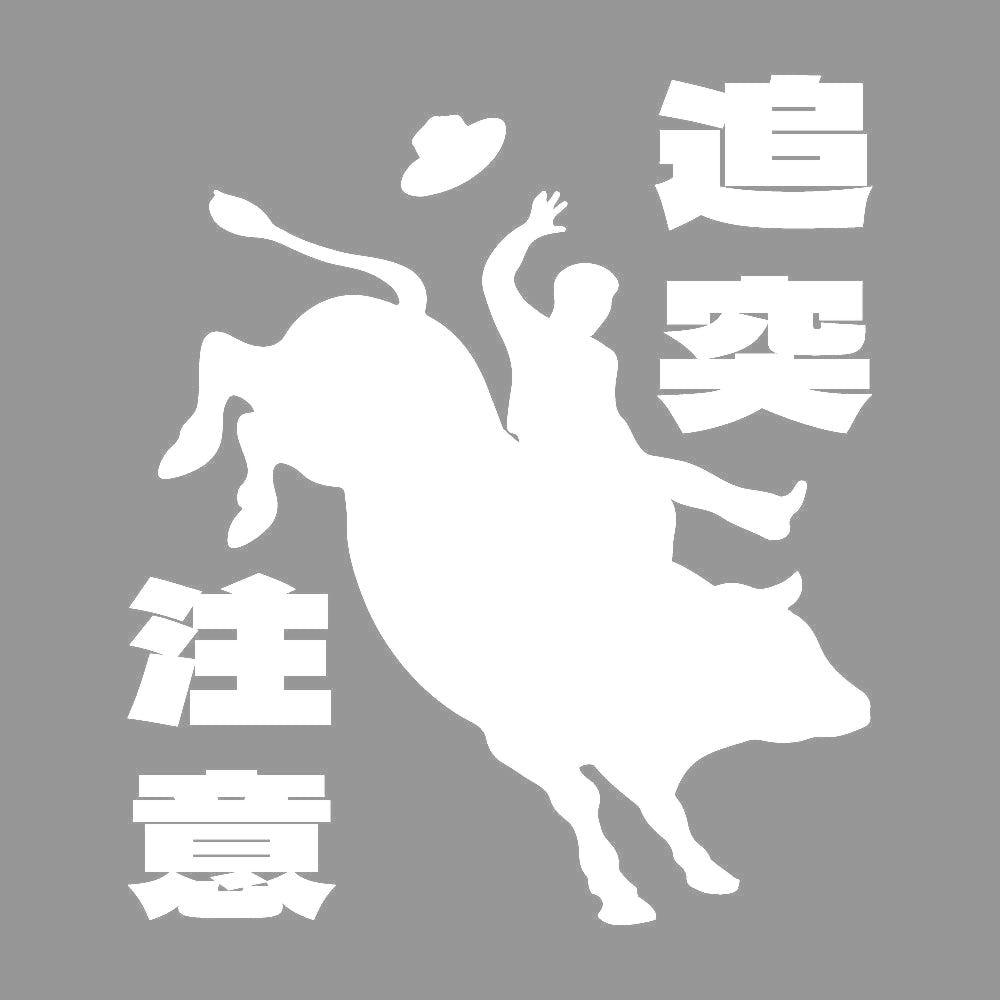 追突注意 ロデオ (A) 7