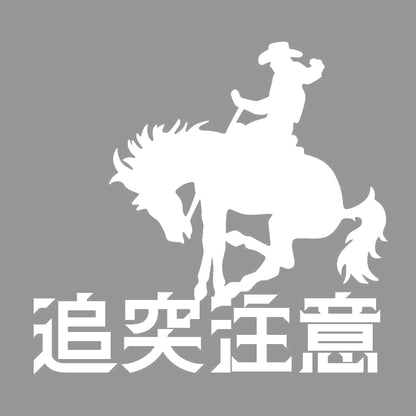 追突注意 ロデオ (B) 7