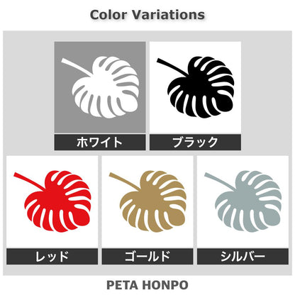 モンステラの葉 2