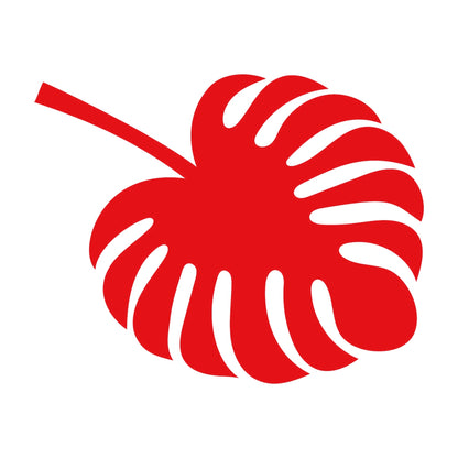 モンステラの葉 8