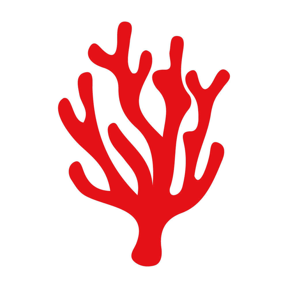 サンゴ 8