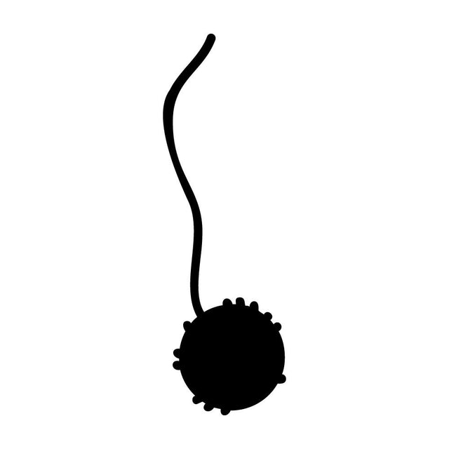 ネコのおもちゃ