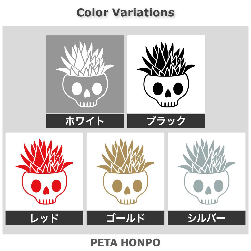 ドクロ鉢のアロエ 2