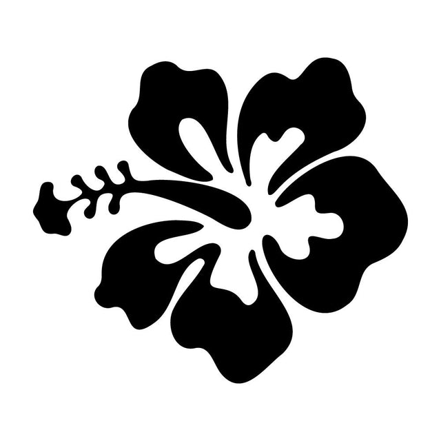 ハイビスカス