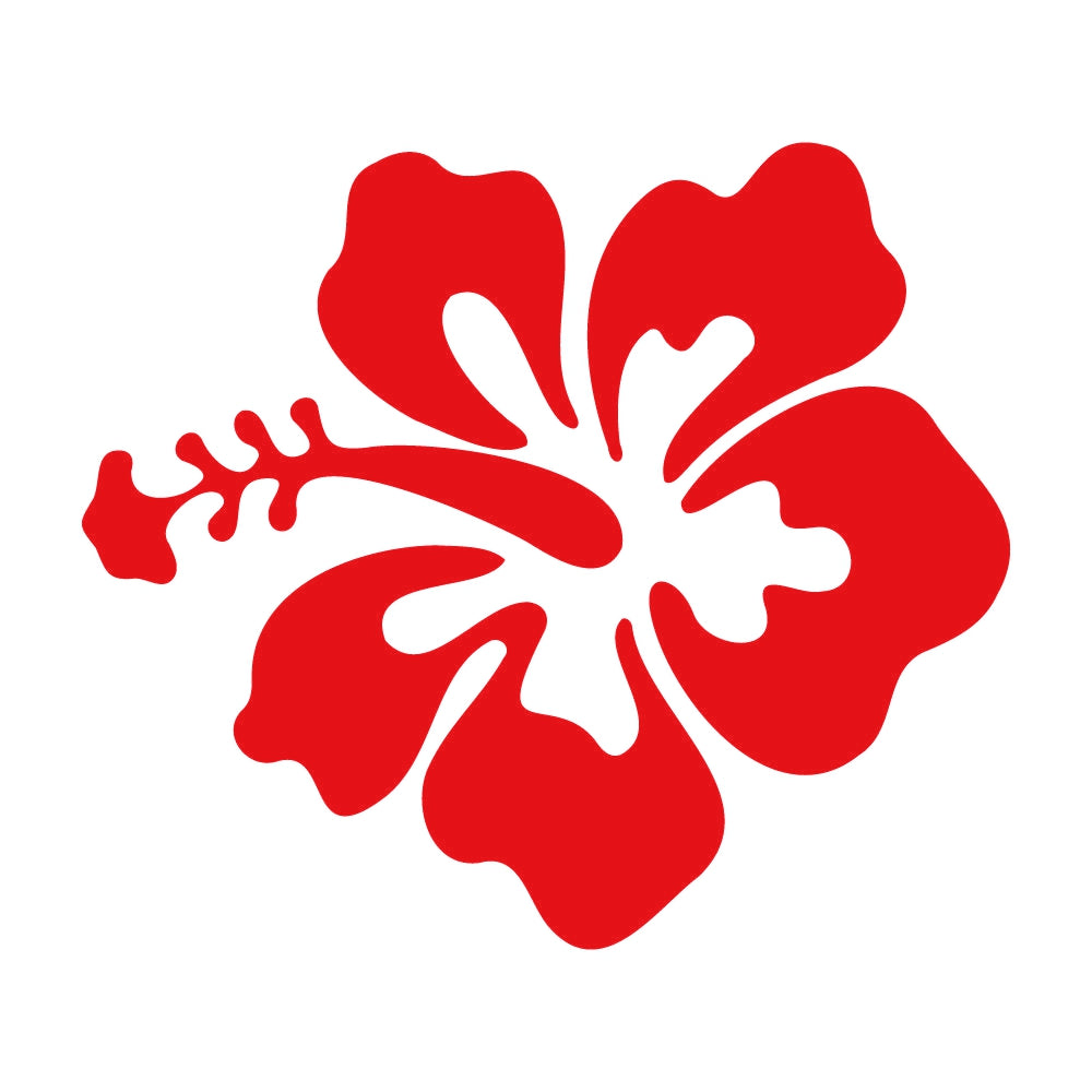 ハイビスカス 8