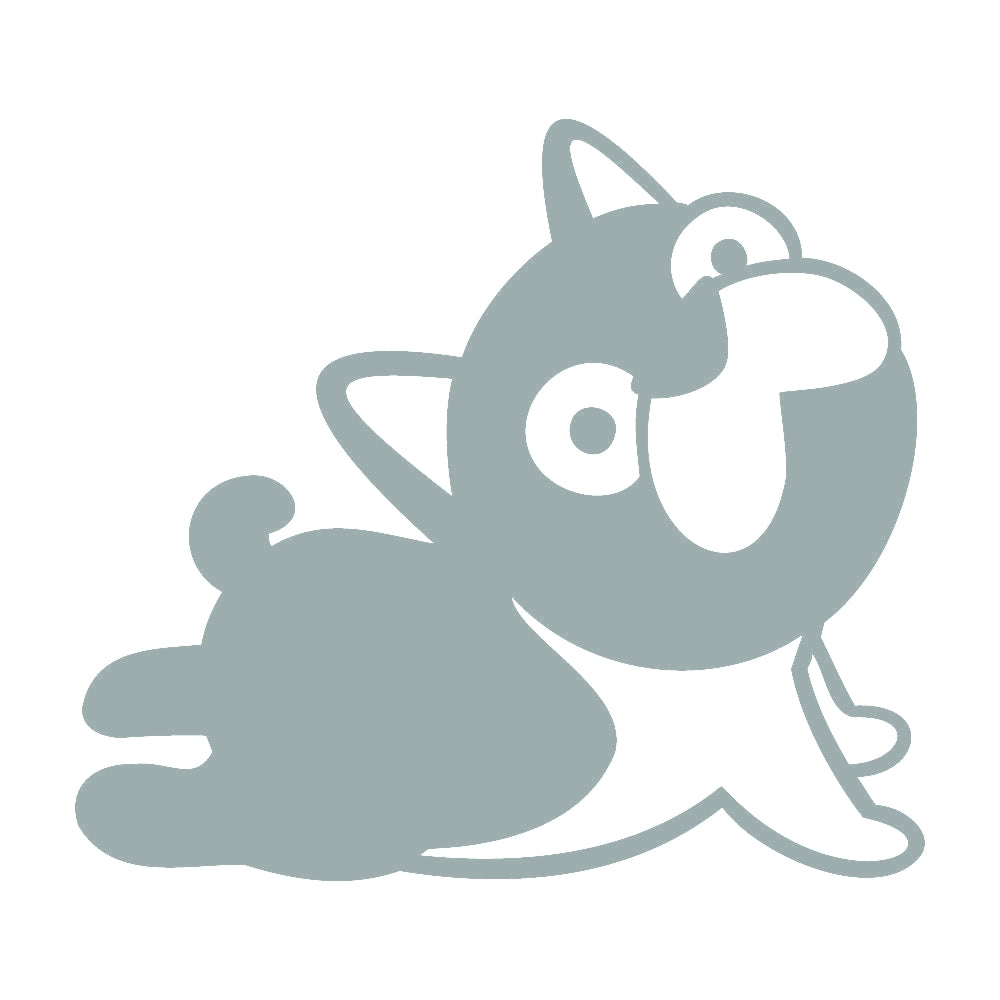 パグ (B) 10