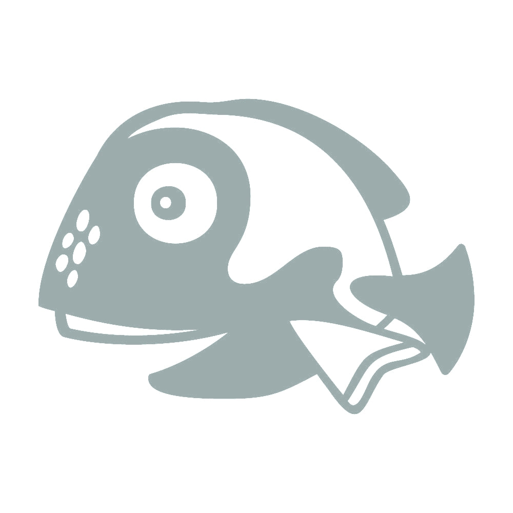 魚 (A) 10