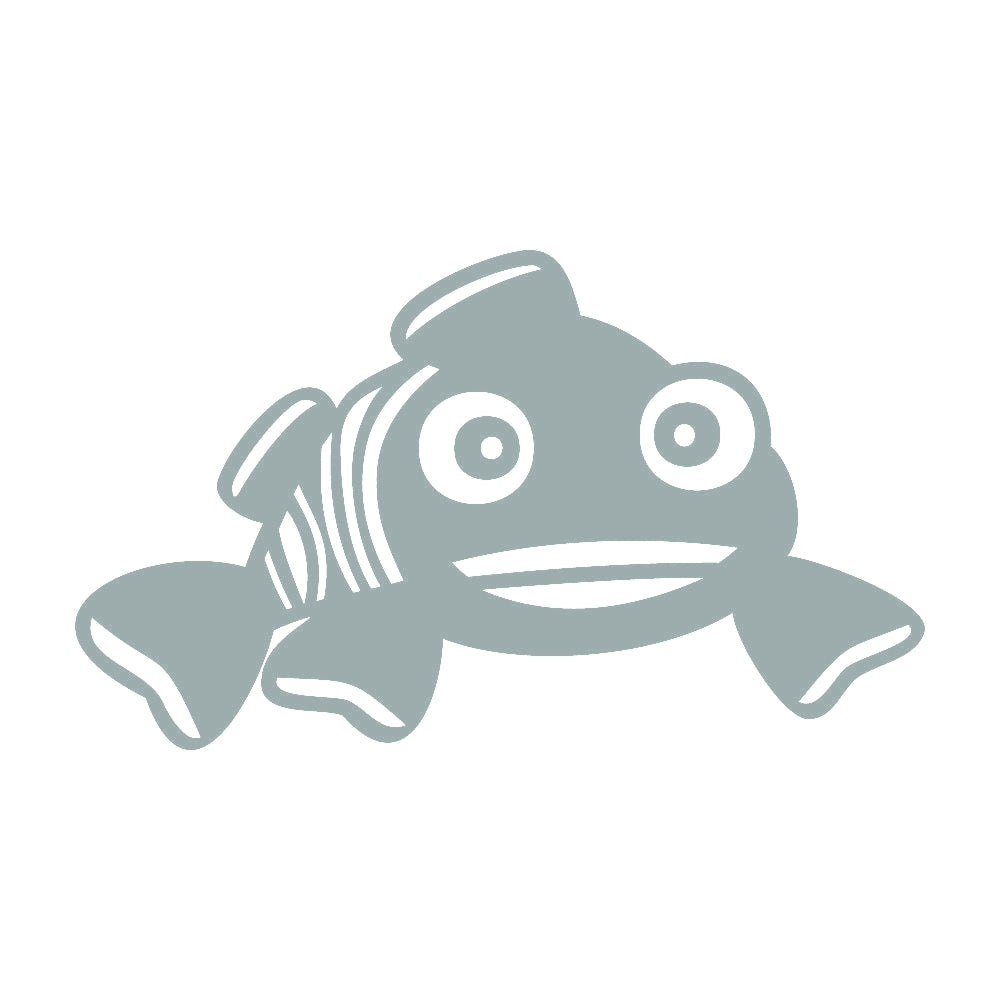 魚 (B) 10