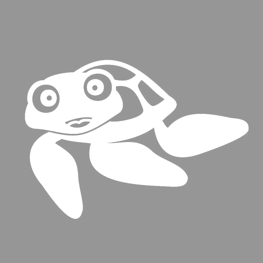 ウミガメ 7