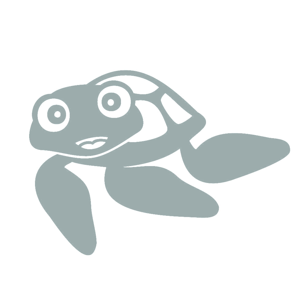 ウミガメ 10