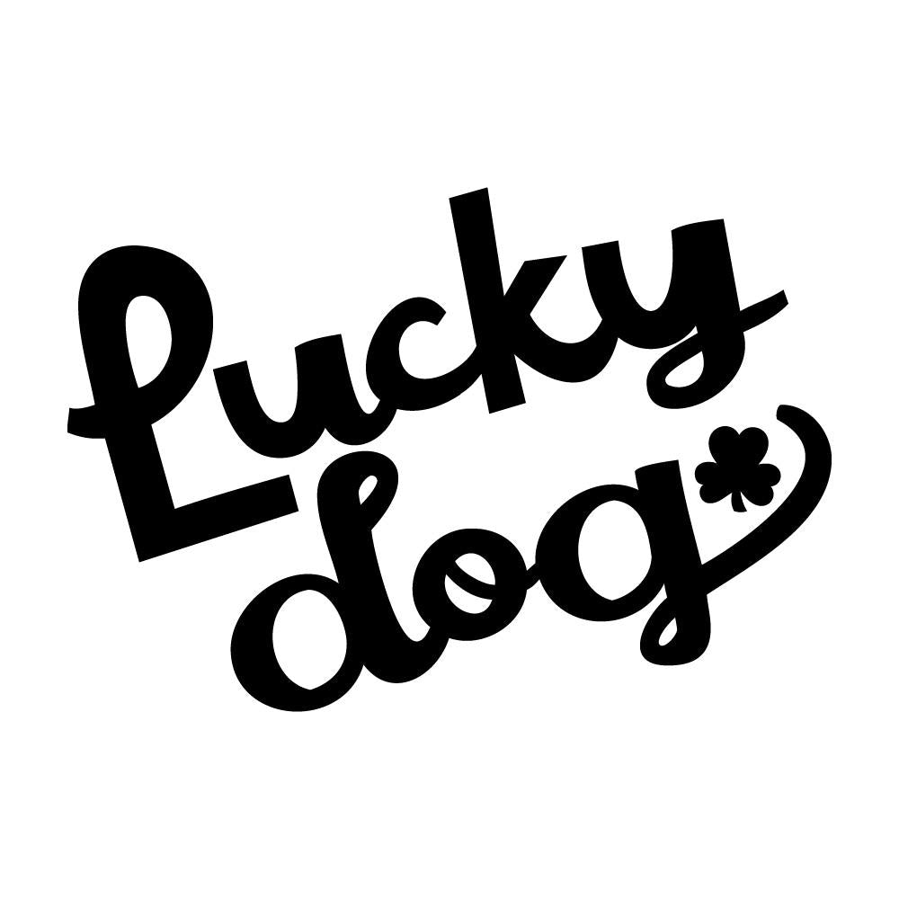 Lucky dog