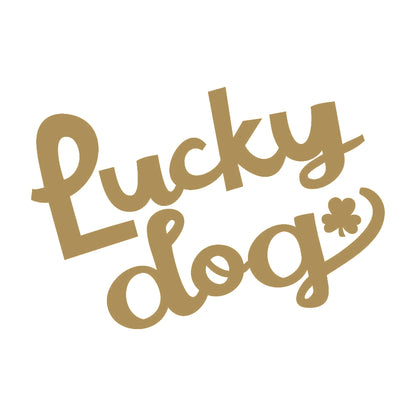 Lucky dog 9