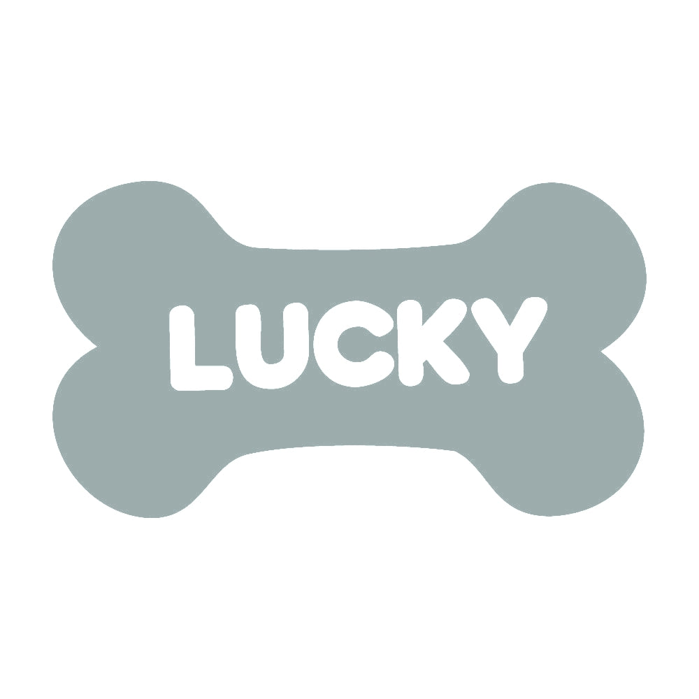 LUCKY 骨 10