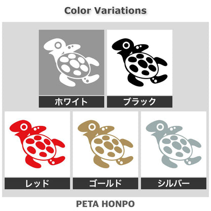 ウミガメ (A) 2