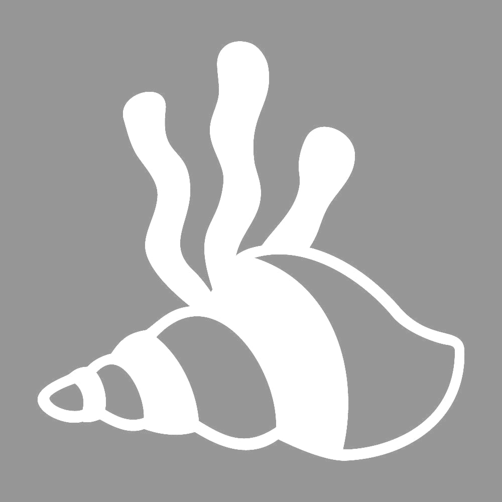 海底の巻き貝 7