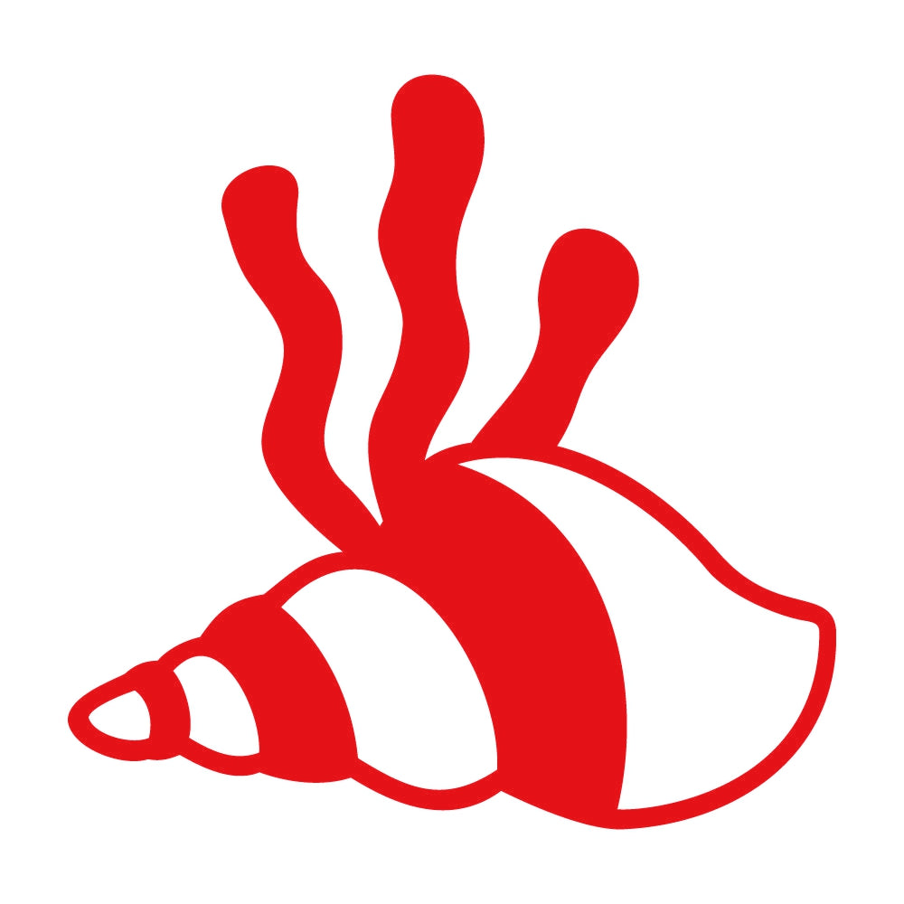 海底の巻き貝 8