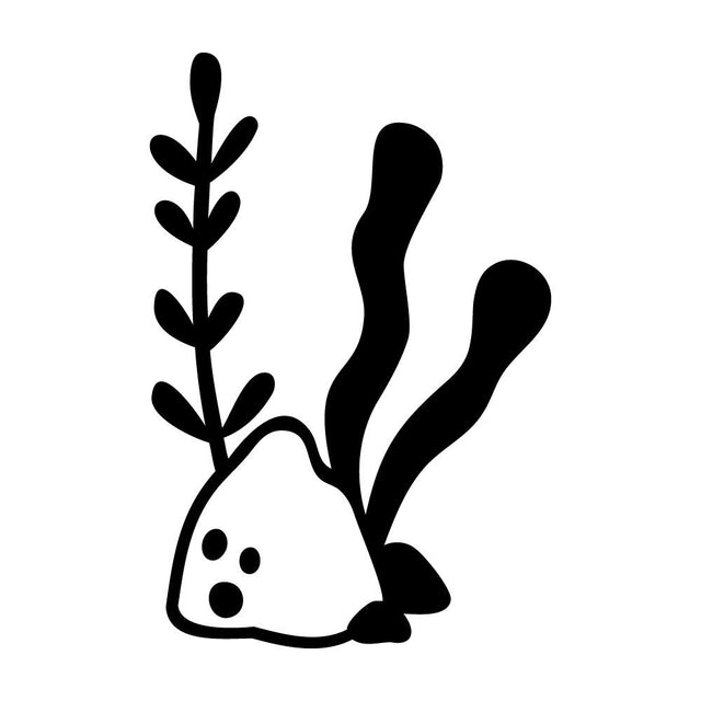 海藻