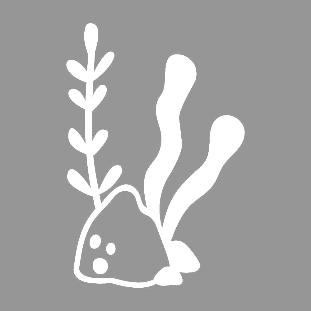 海藻 7