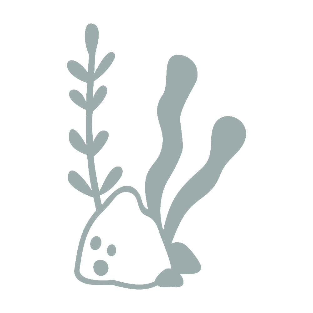 海藻 10