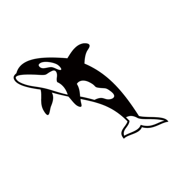 シャチ (A)