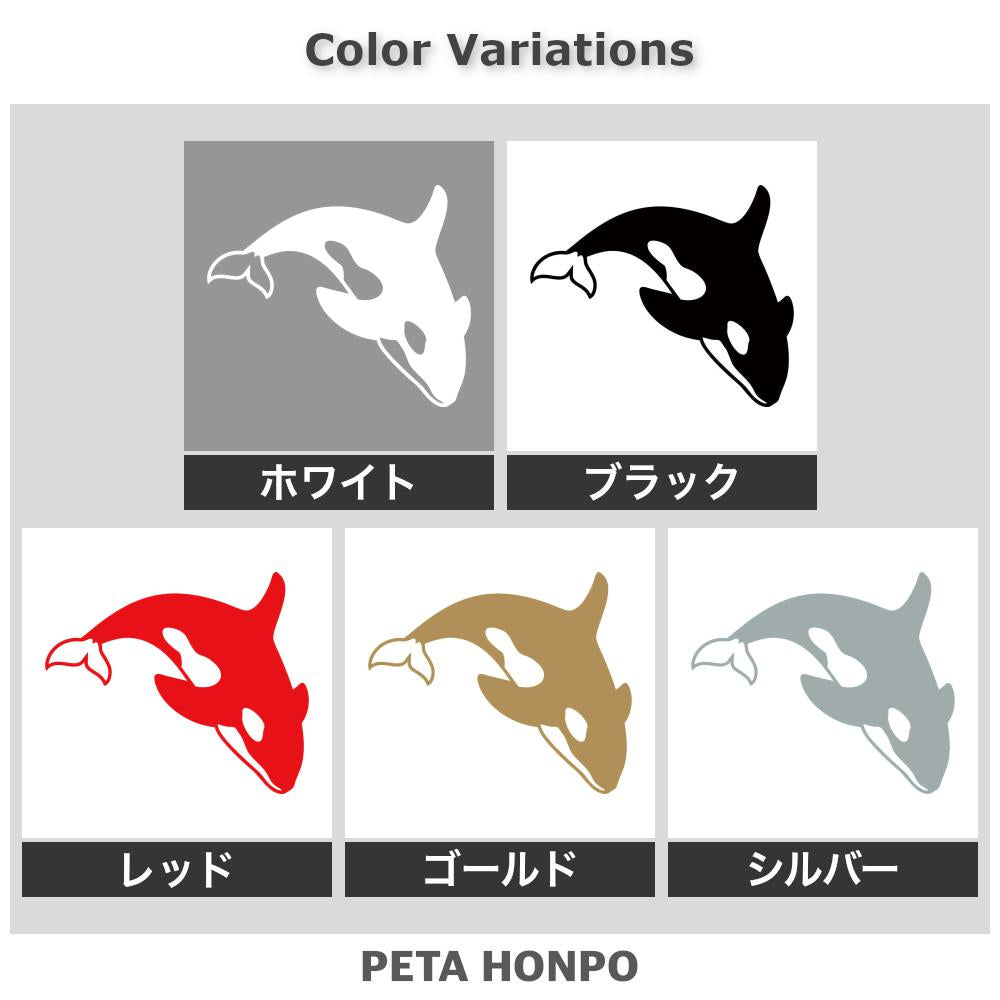 シャチ (B) 2