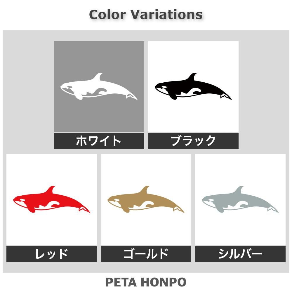 シャチ (C) 2
