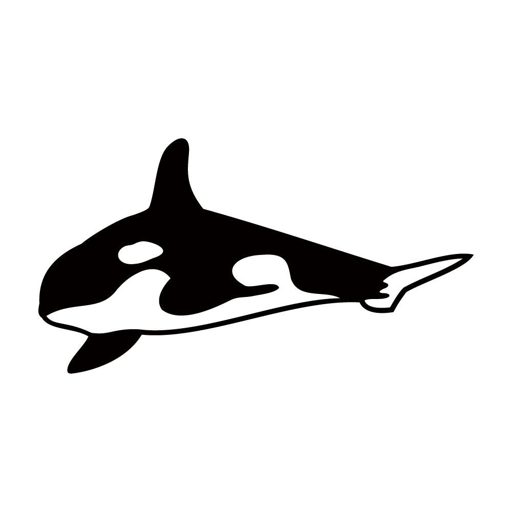 シャチ (D)