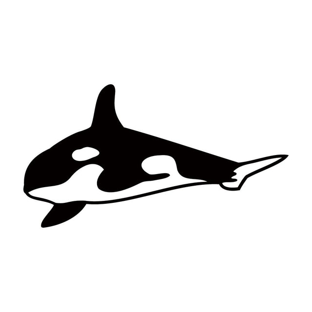シャチ (D)