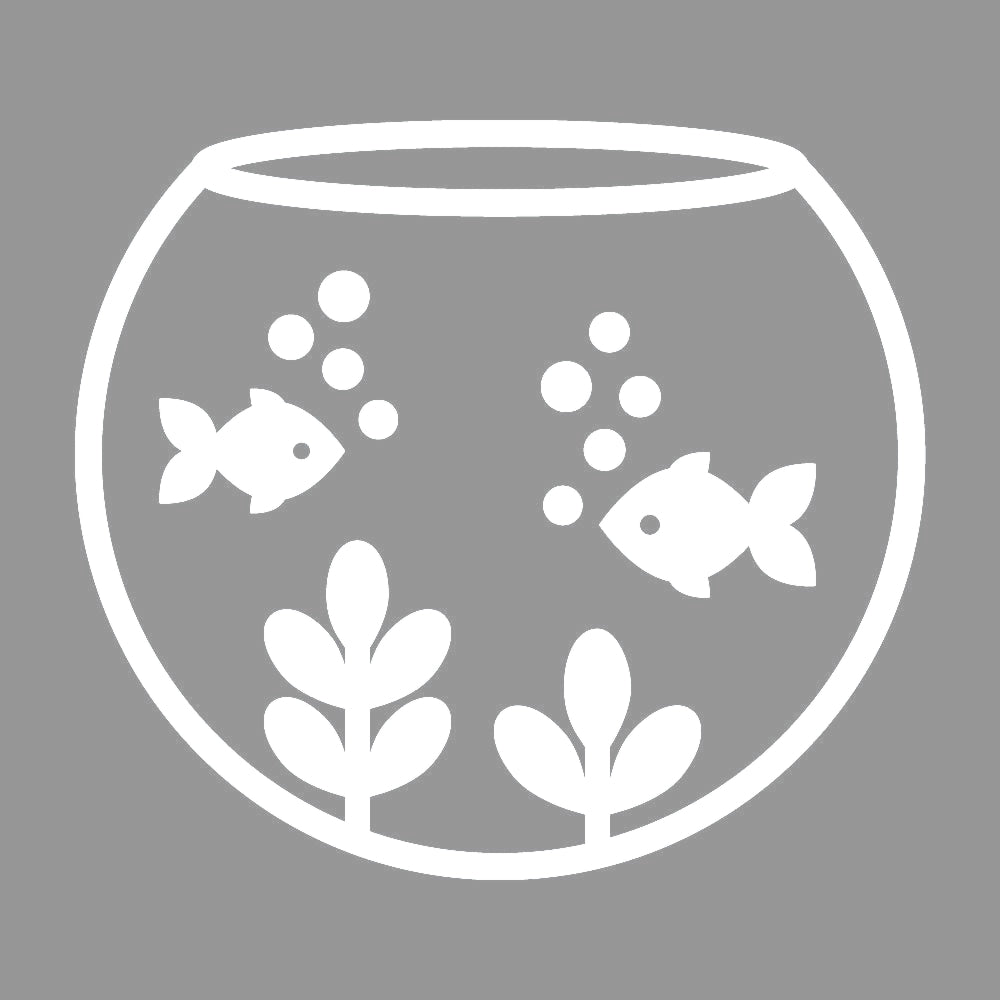 金魚鉢 7