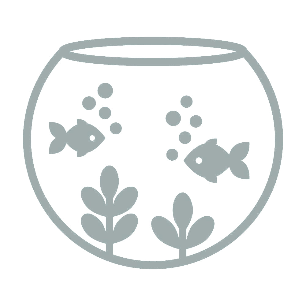 金魚鉢 10