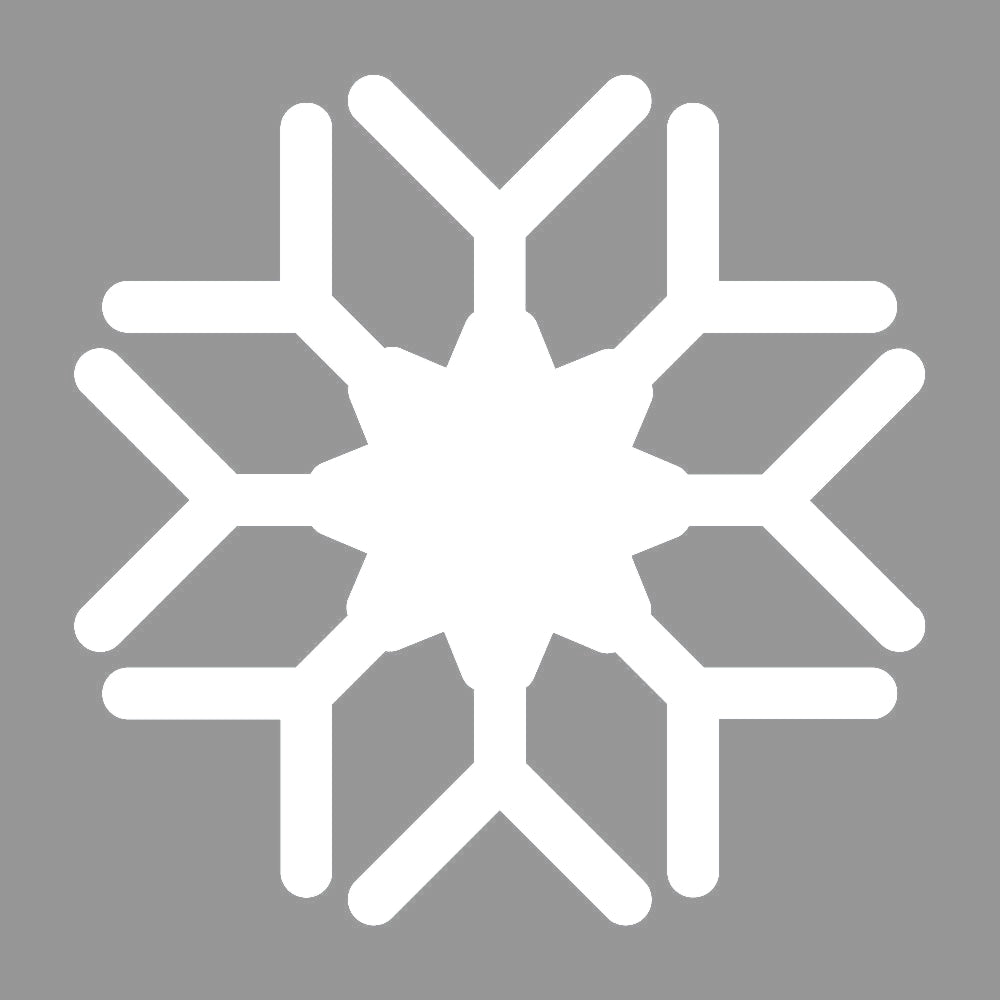 雪の結晶 (D) 7