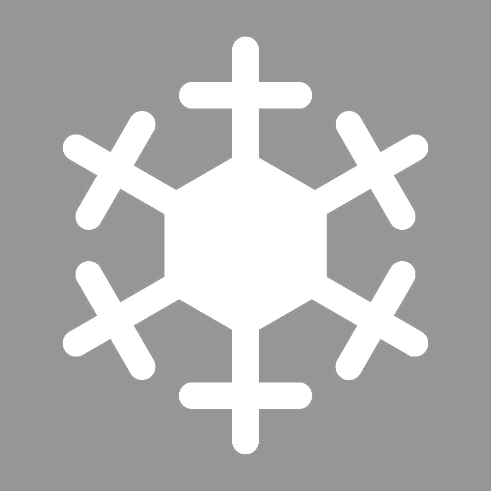 雪の結晶 (E) 7
