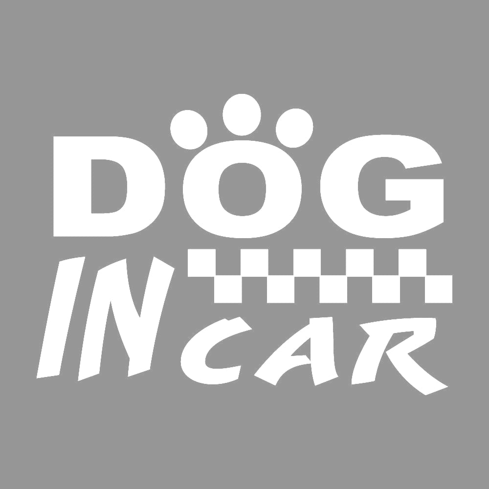 DOG IN CAR (D) 7