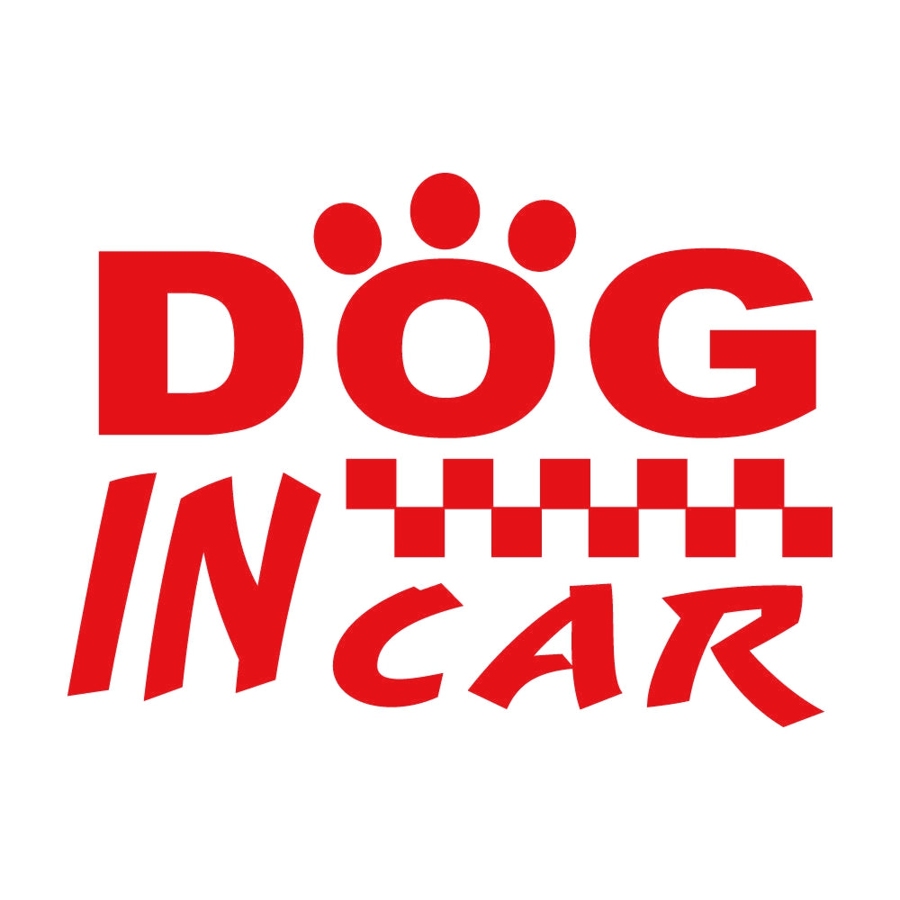 DOG IN CAR (D) 8