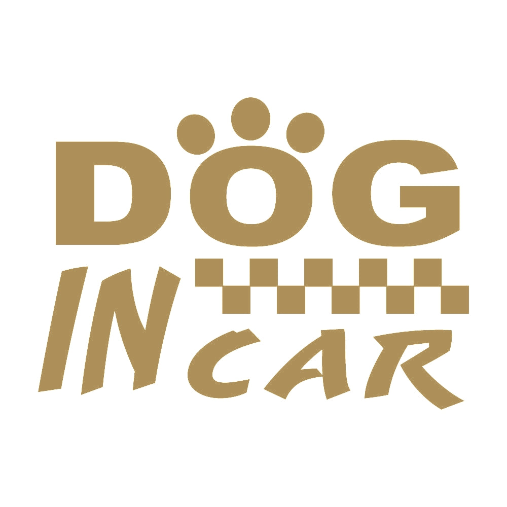 DOG IN CAR (D) 9