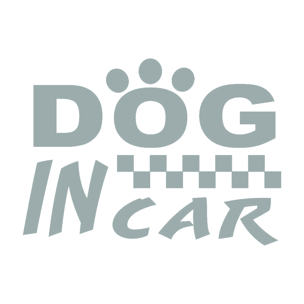 DOG IN CAR (D) 10