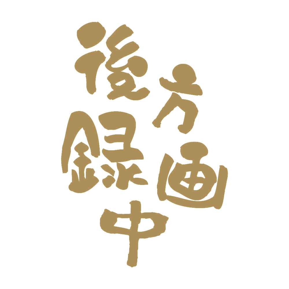 後方録画中 (A) 9