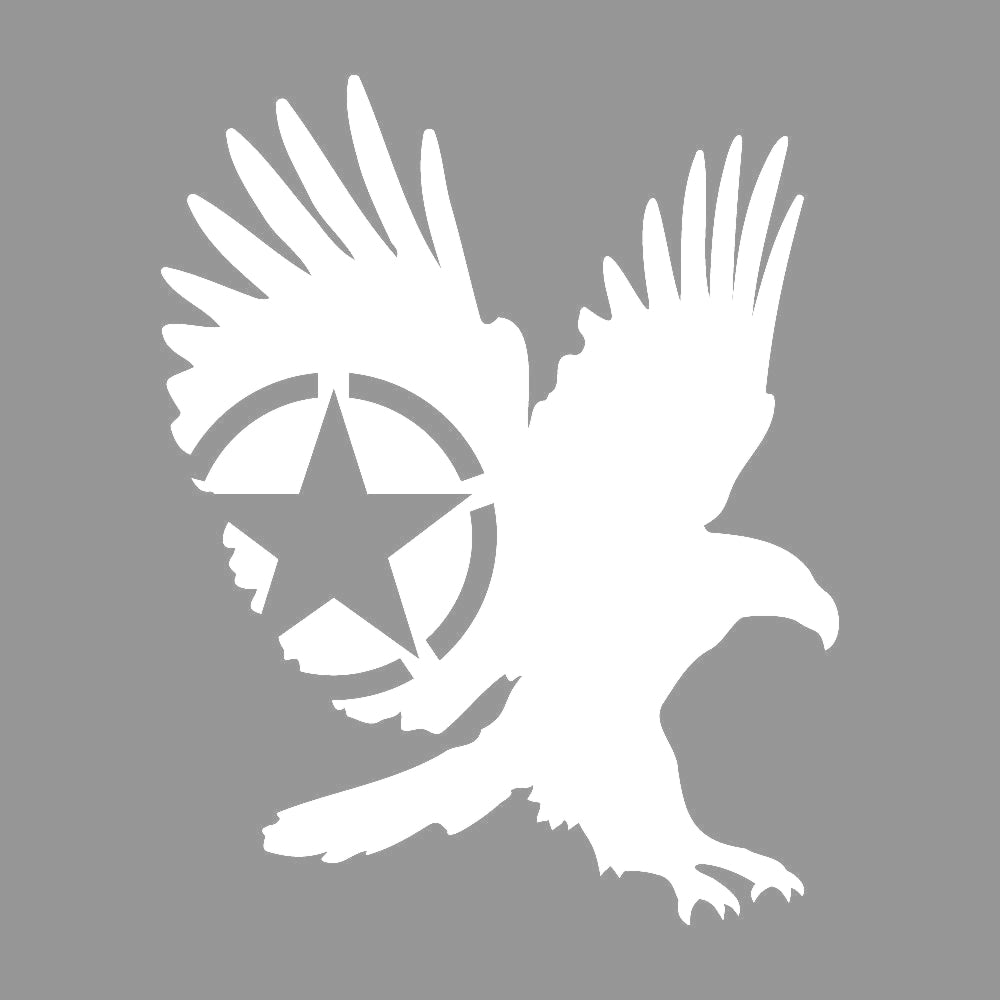米軍マークとイーグル 7