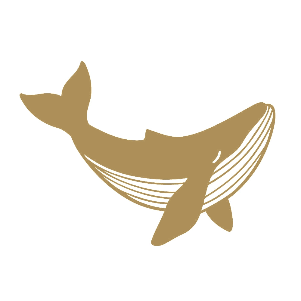 クジラ (C) 9