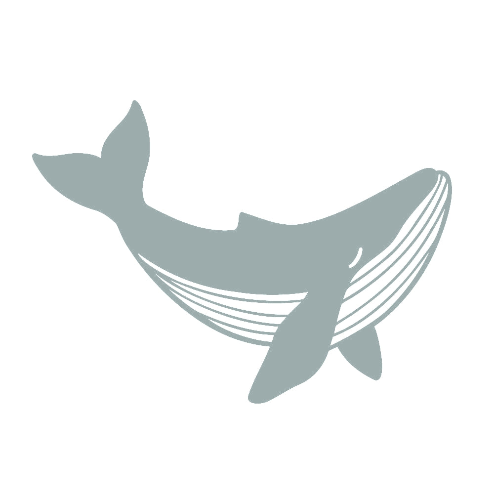 クジラ (C) 10